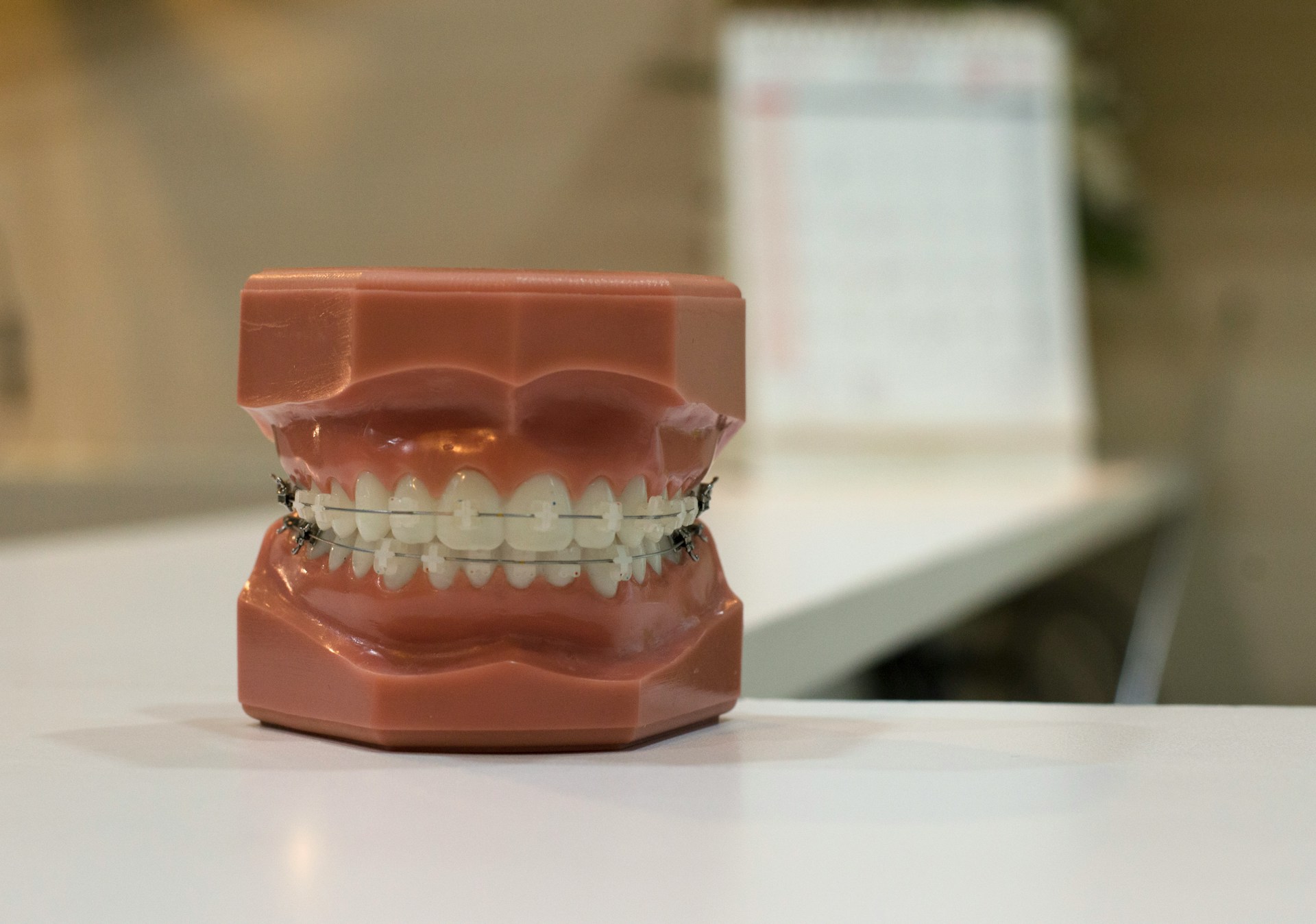 ortho opleiding